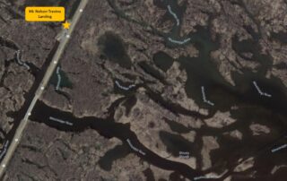 Nelson Trevino Bottoms